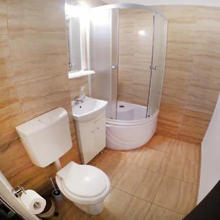 Zebrasov Apartment Brasov