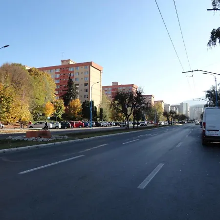 Zebrasov * Brasov