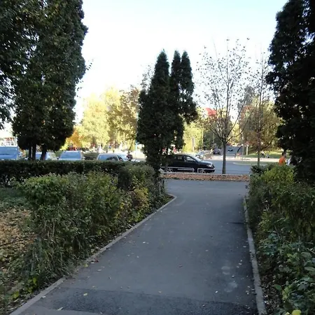 Zebrasov *